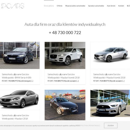 Naprawa układu hamulcowego Gorzów Wielkopolski