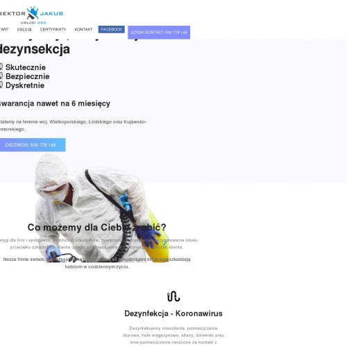 Usuwanie karaluchów z lokali gastronomicznych w Łodzi