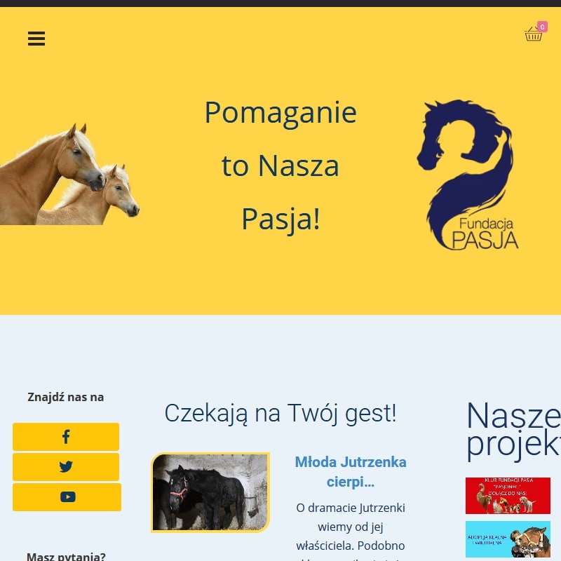 Jak zaadoptować konia