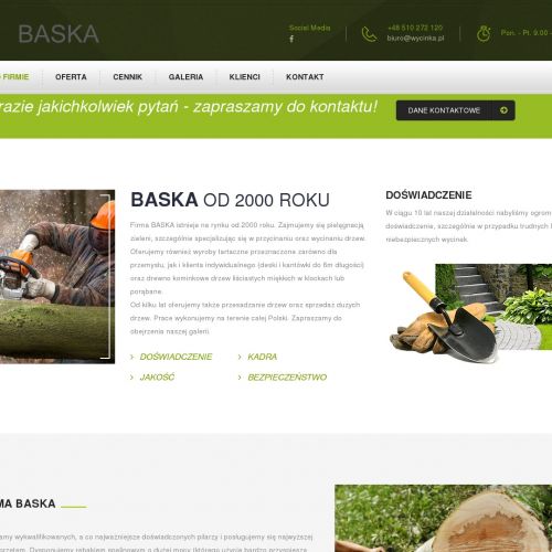 Frezowanie pniaków w Gliwicach