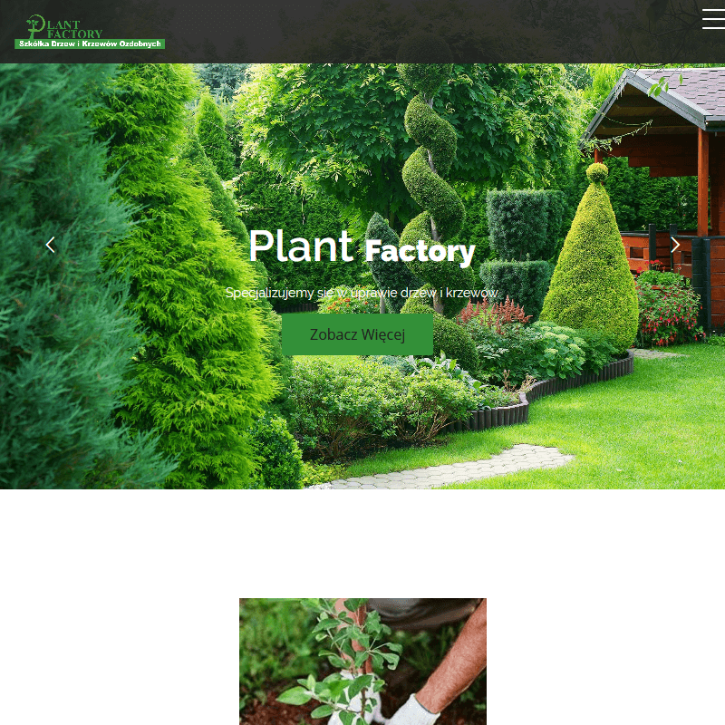 Krzewy liściaste do ogrodu - Grójec