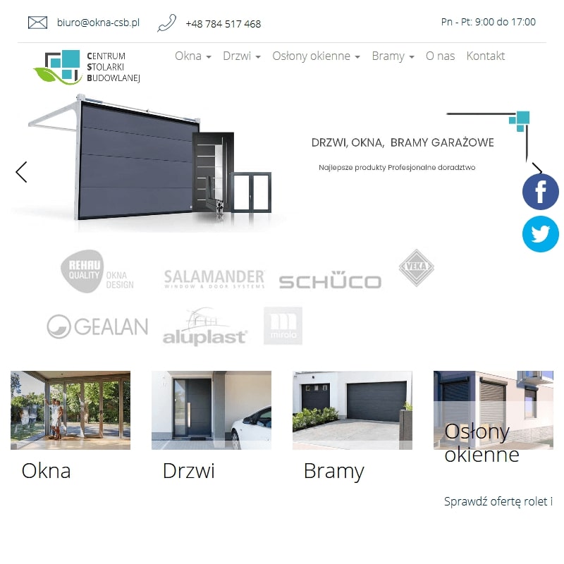 Drzwi wejściowe - Pszczyna