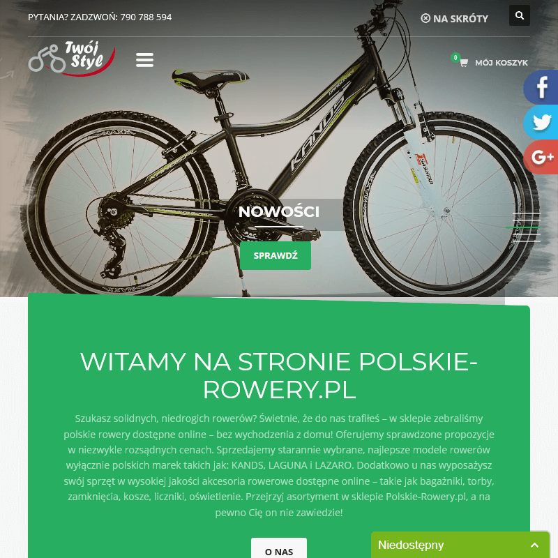 Bagażniki rowerowe online